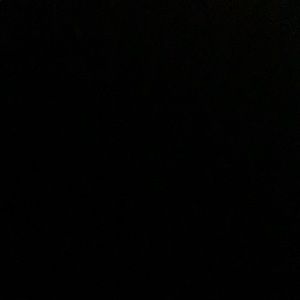 Meet your Posher, Regan